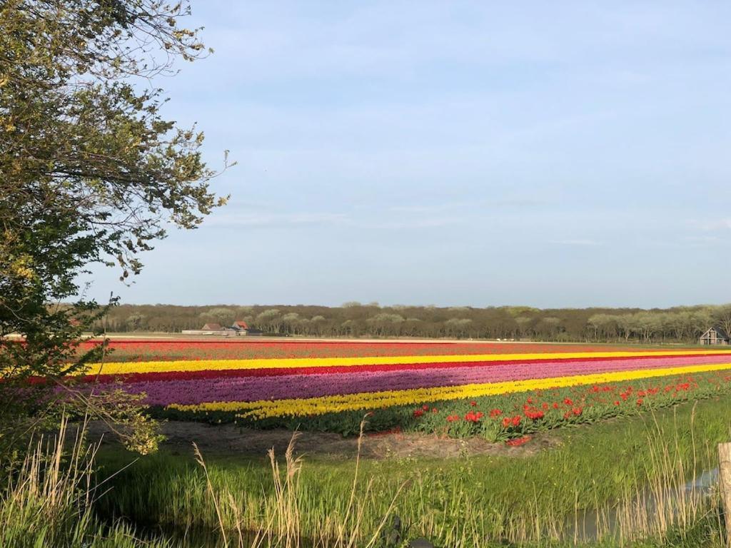 Meno Mosso Villa Sint Maartensvlotbrug Exterior foto